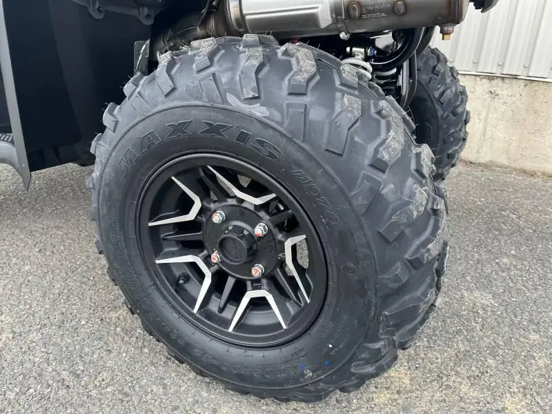 2025 Honda Rubicon DCT IRS EPS Deluxe