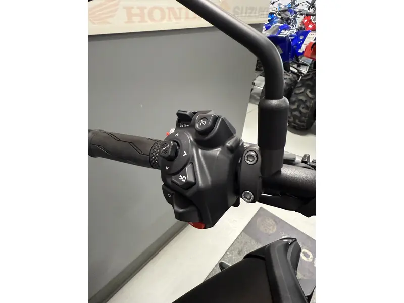 2025 Yamaha MT-09 MT-09 GRIS GLACIAL