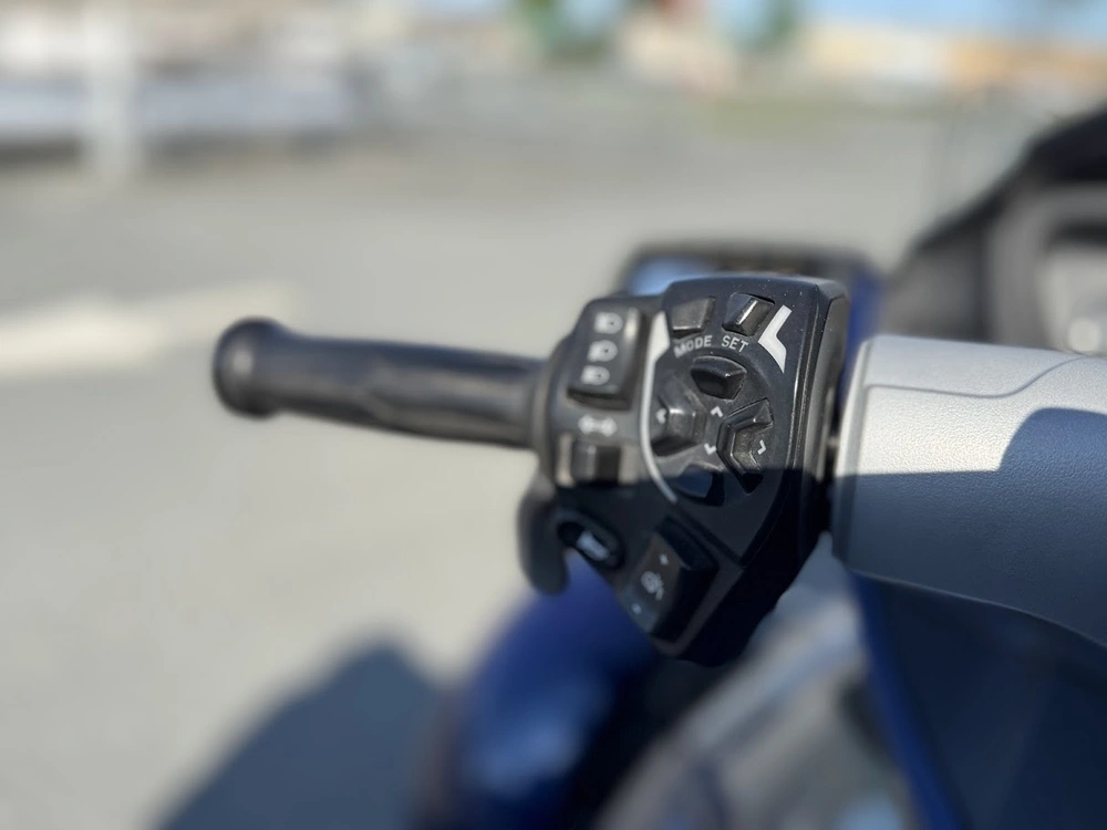 2010 Can-am Rt-s alt