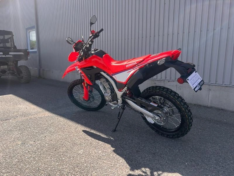 Honda Crf300l Abs 2025 alt