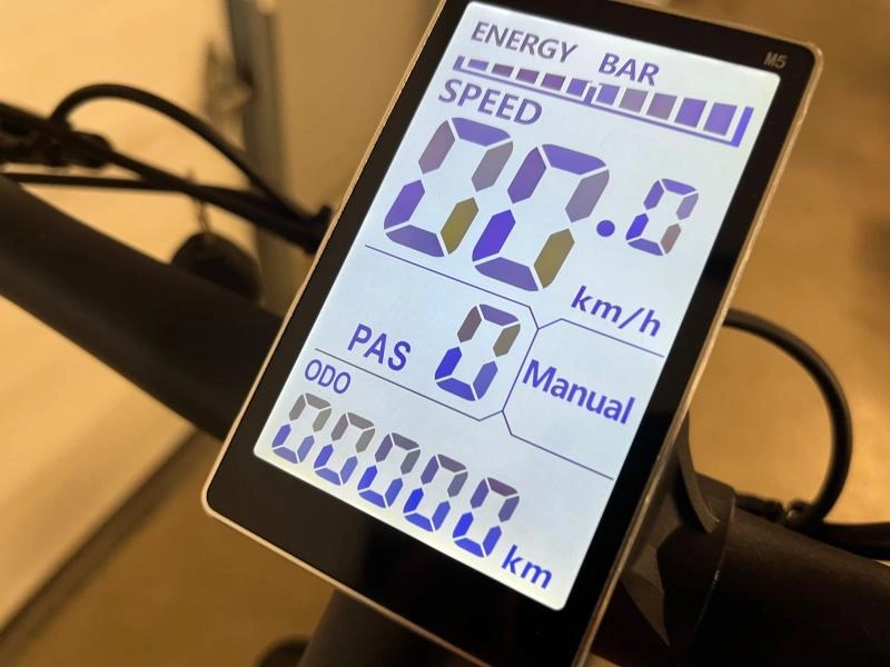 2024 Slane Santiago Fat 4.0 Vélo Électrique alt