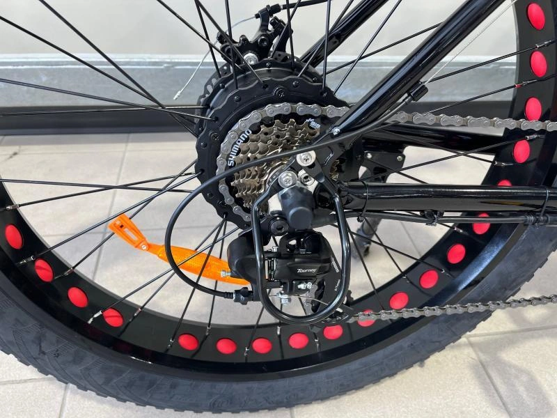 2024 Slane Santiago Fat 4.0 Vélo Électrique alt