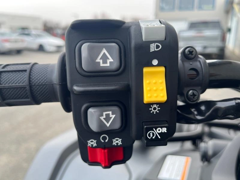 2025 Honda Rubicon 520 Dct Irs Eps Deluxe alt