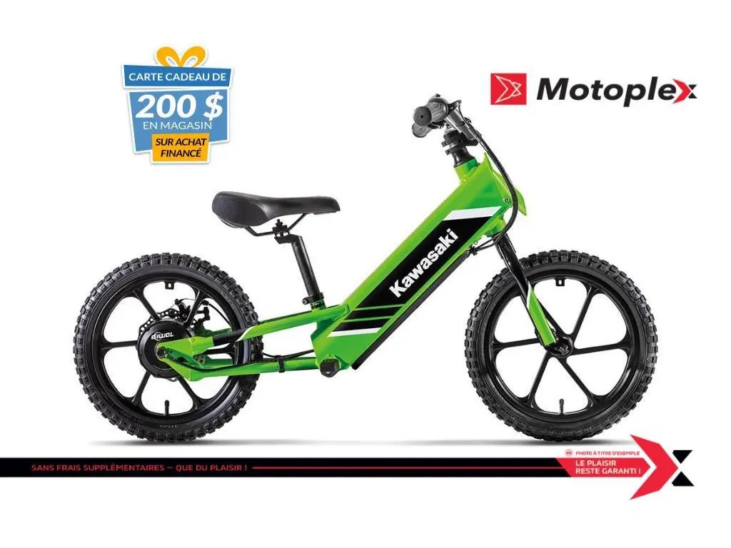 2025 Kawasaki ELEKTRODE 16