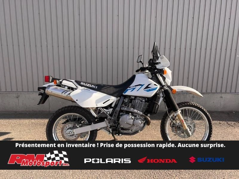 2024 Suzuki Dr650se alt