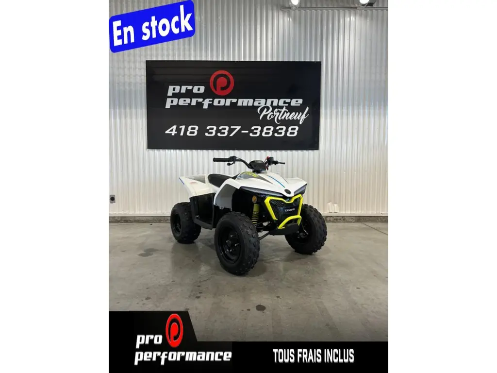 2024 CFMOTO CFORCE EV110 