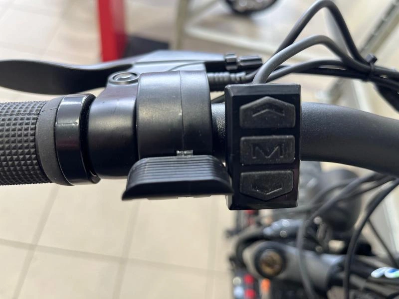 2024 Slane Santiago Fat 4.0 Vélo Électrique alt
