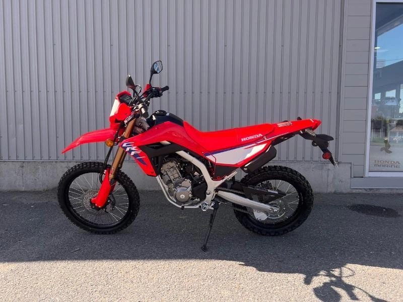 Honda Crf300l Abs 2025 alt