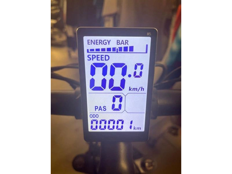 Slane Santiago Vélo Électrique 2024 alt