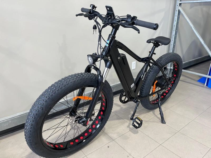 2024 Slane Santiago Fat 4.0 Vélo Électrique alt