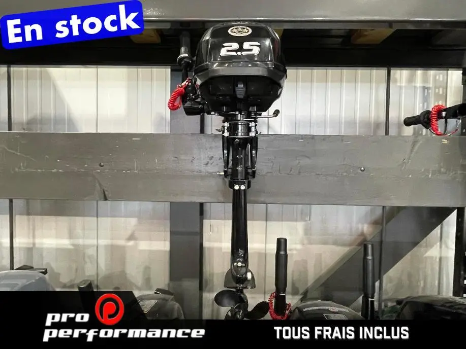 2022 Suzuki MOTEUR HORS-BORD DF2.5S 
