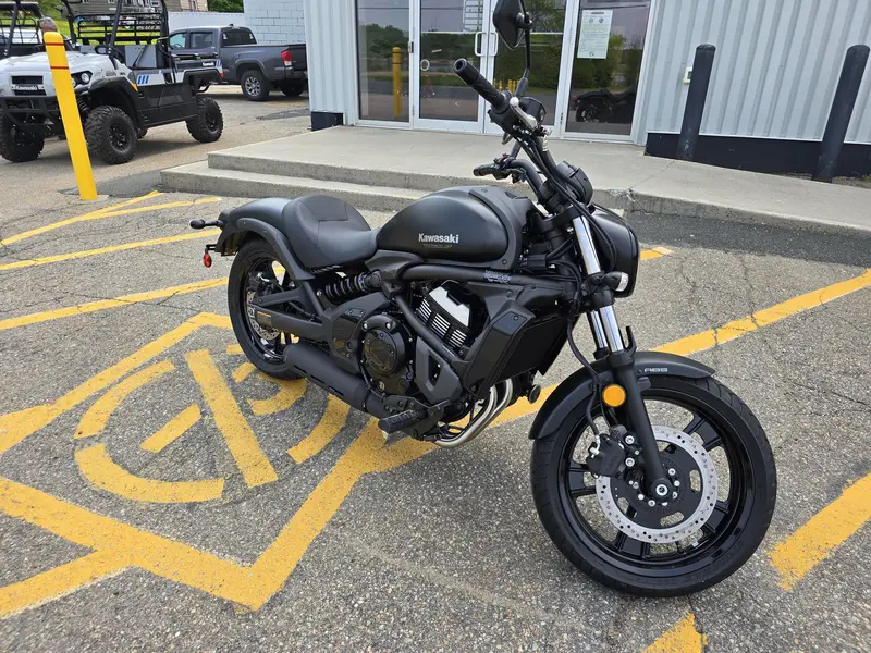 2025 Kawasaki EN650DSFNN