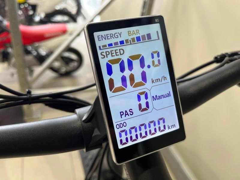 2024 Slane Santiago Fat 4.0 Vélo Électrique alt