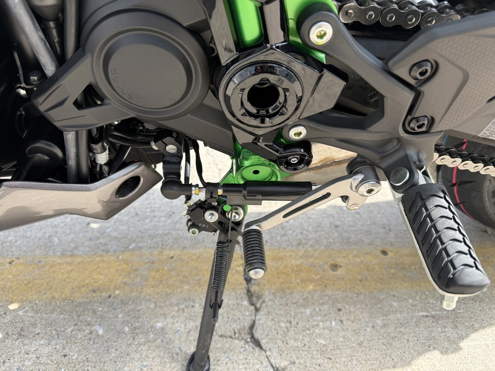 2025 Kawasaki Z900 Se alt