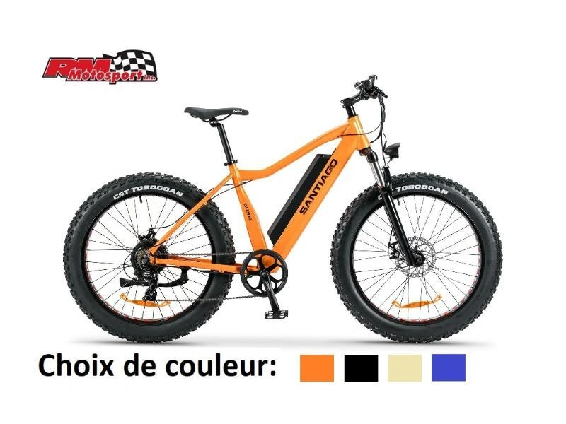 2024 Slane Santiago Fat 4.0 Vélo Électrique alt