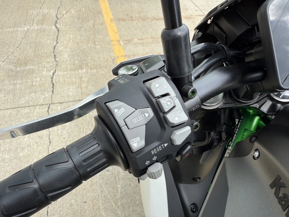 2025 Kawasaki Z900 Abs alt
