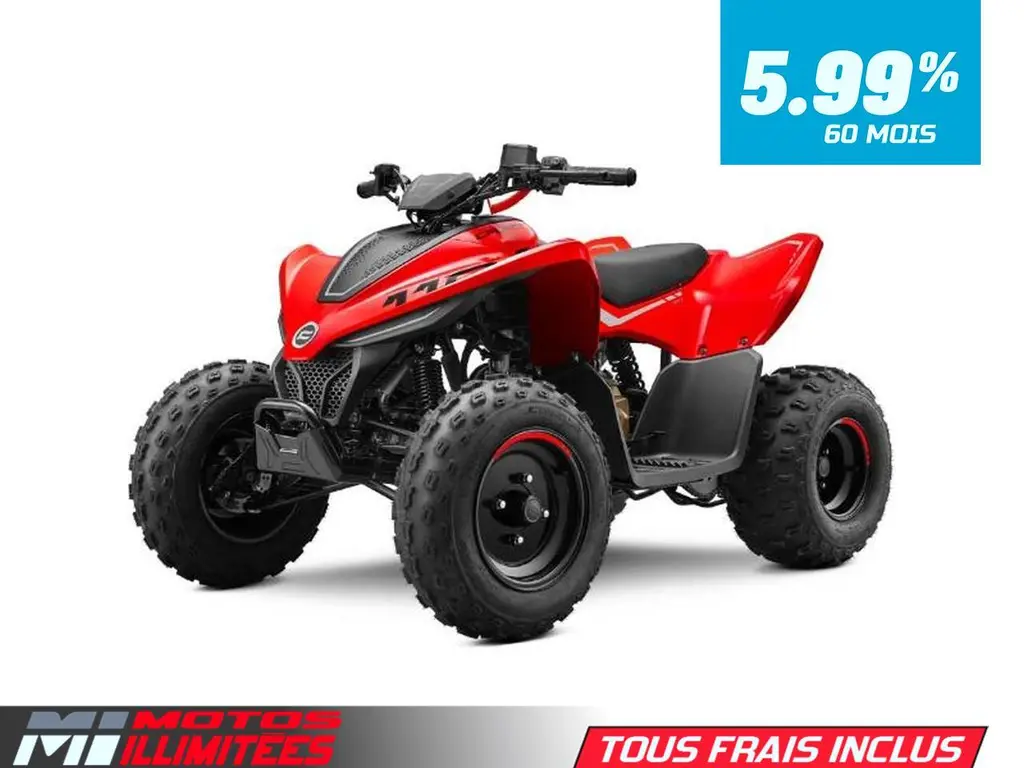 2025 CFMOTO CFORCE 110 Classic