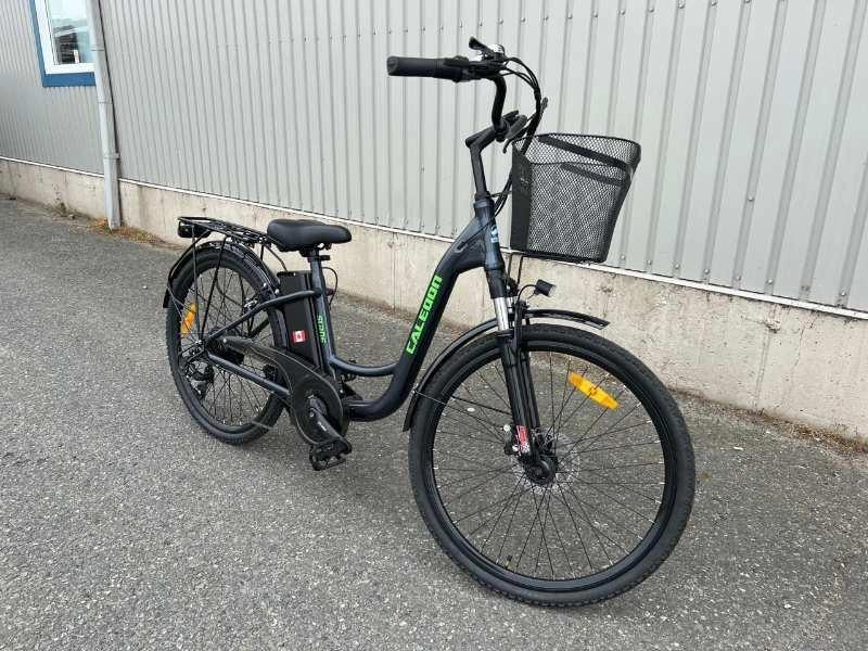 2024 Slane Caledon Vélo Électrique alt