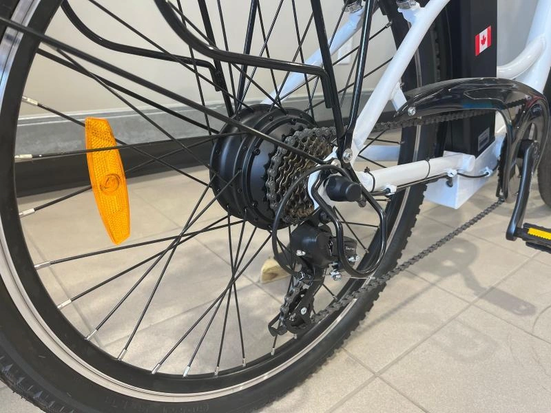 2024 Slane Caledon Vélo Électrique alt