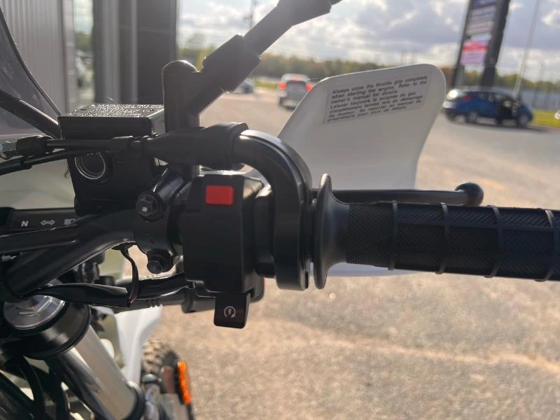 2024 Suzuki Dr650se alt