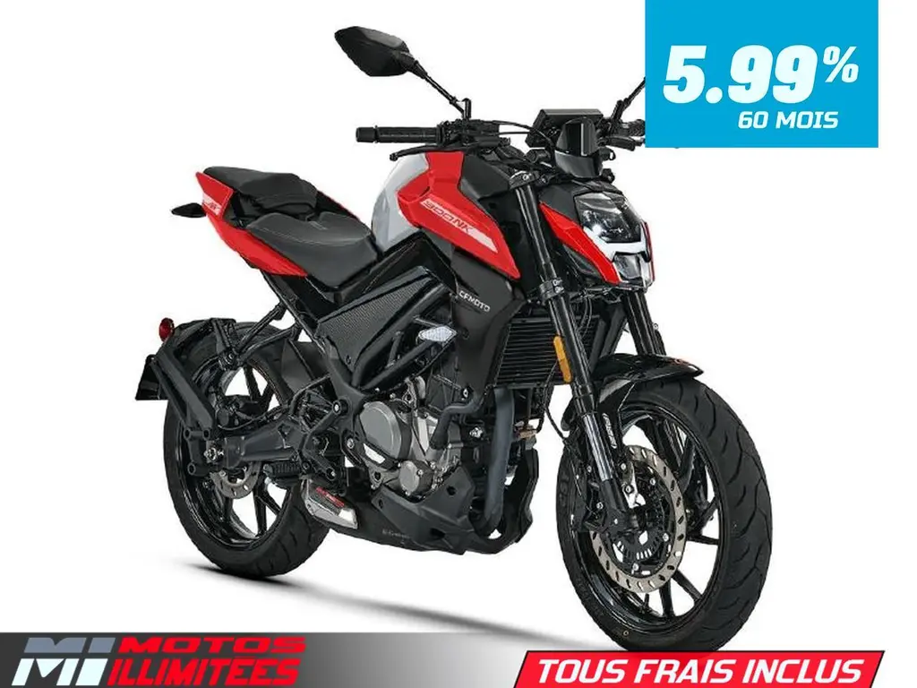 2024 CFMOTO 300NK 