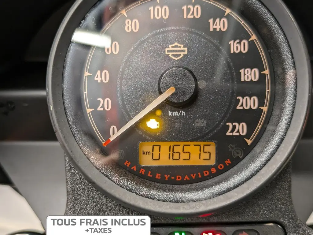 2017 Harley-Davidson XL883N Iron