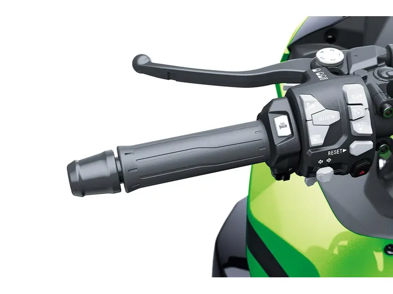 2025 Kawasaki NINJA 1100 SX SE