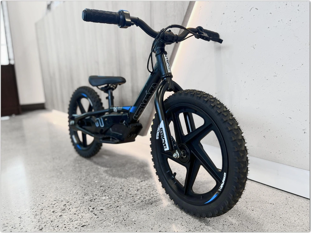 2025 Stacyc 16edrive alt