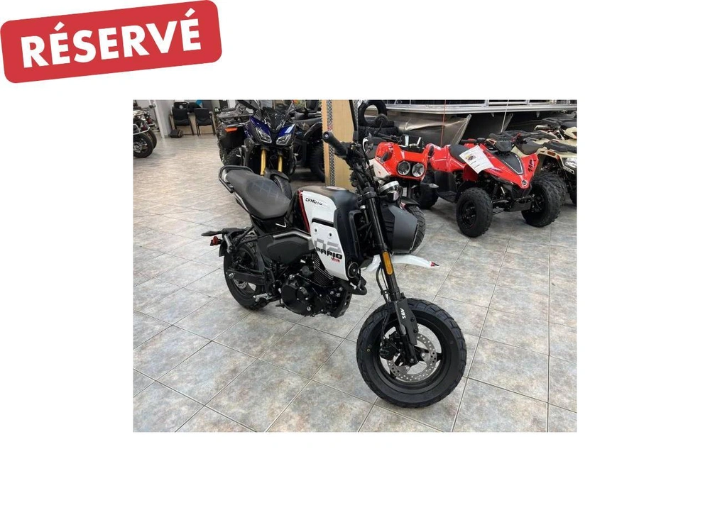 Cfmoto Papio Cl 2024 alt