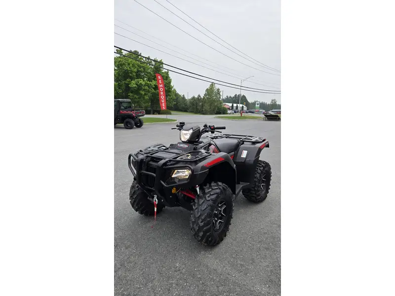 2024 HONDA RUBICON 520 SPECIAL EDITION