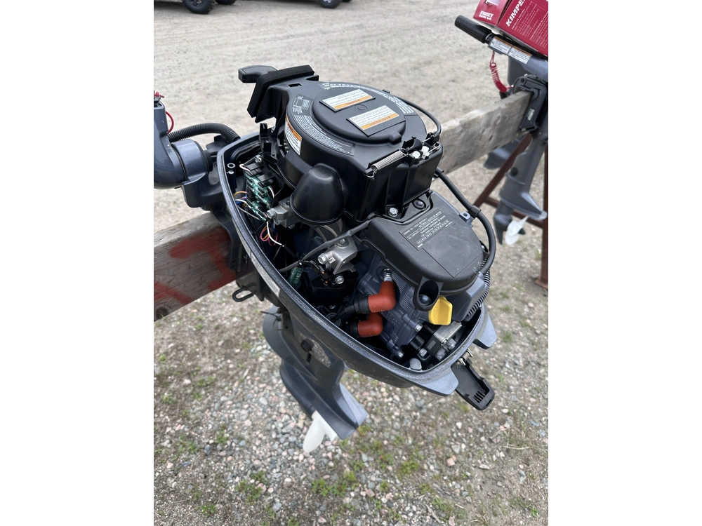 Yamaha F9.9smhb 2021 alt