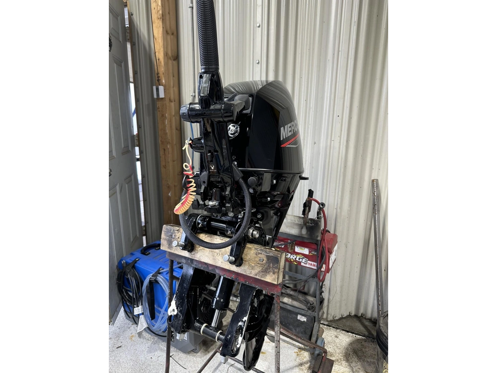 2023 Mercury 30 Hp alt
