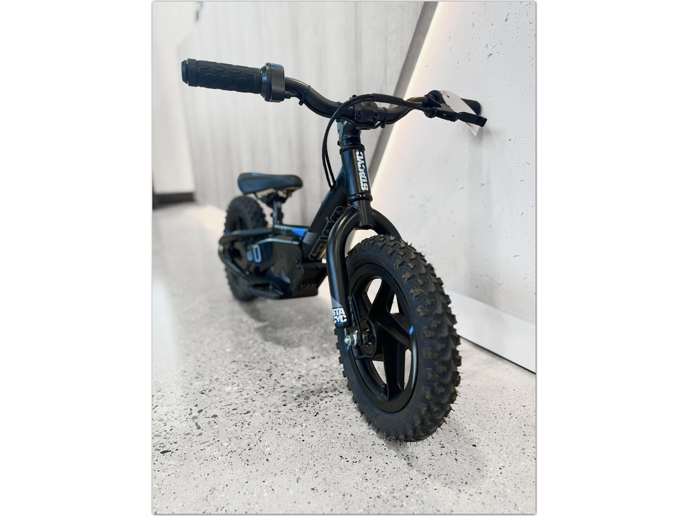 2025 Stacyc 12edrive alt