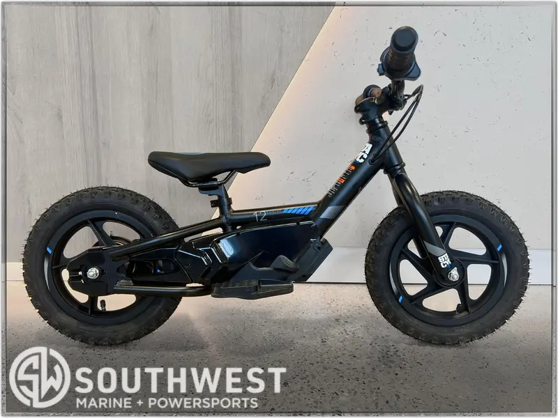 2025 STACYC 12eDrive