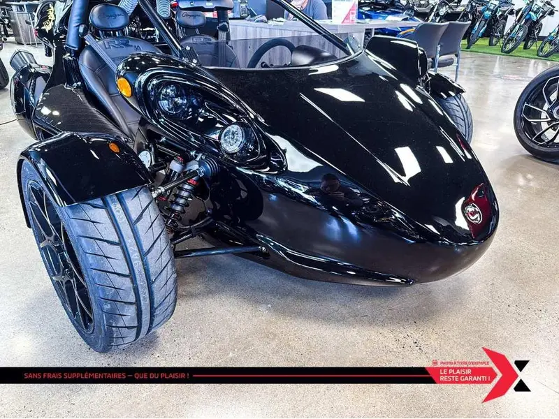2025 Campagna T-Rex