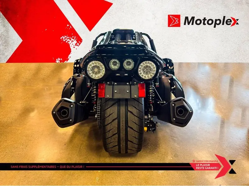 2025 Campagna T-Rex