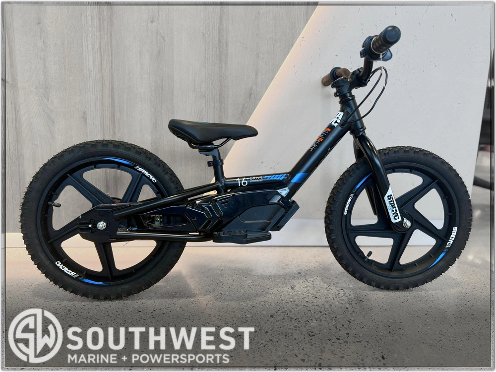 2025 Stacyc 16edrive alt