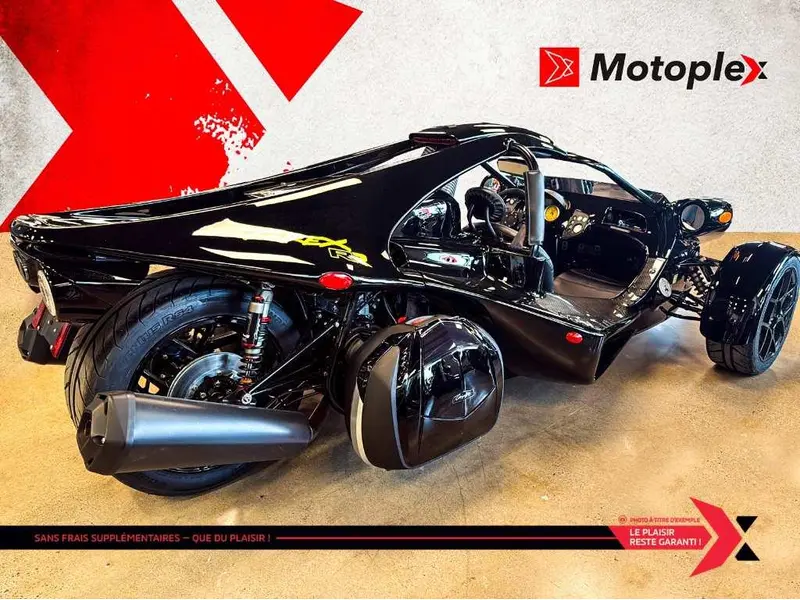 2025 Campagna T-Rex