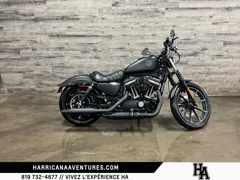 harley-davidson Iron 883 2019 - XL883N