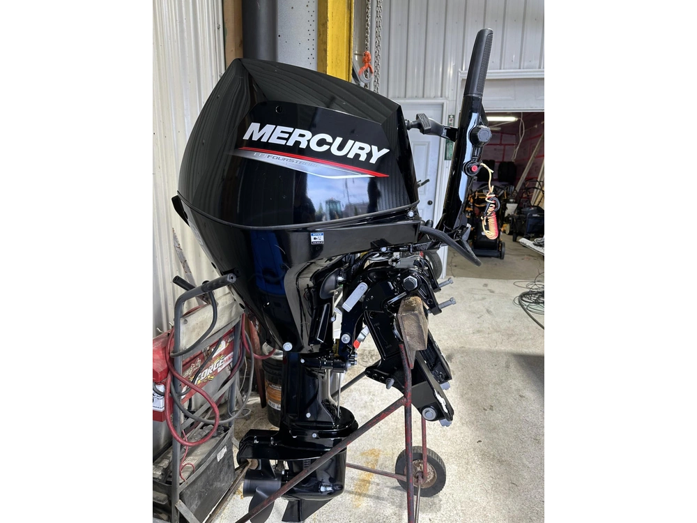 2023 Mercury 30 Hp alt