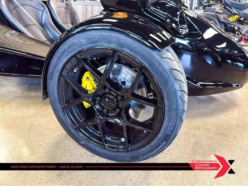 2025 Campagna T-Rex