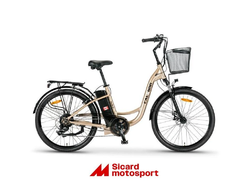 Slane Caledon 2023 alt