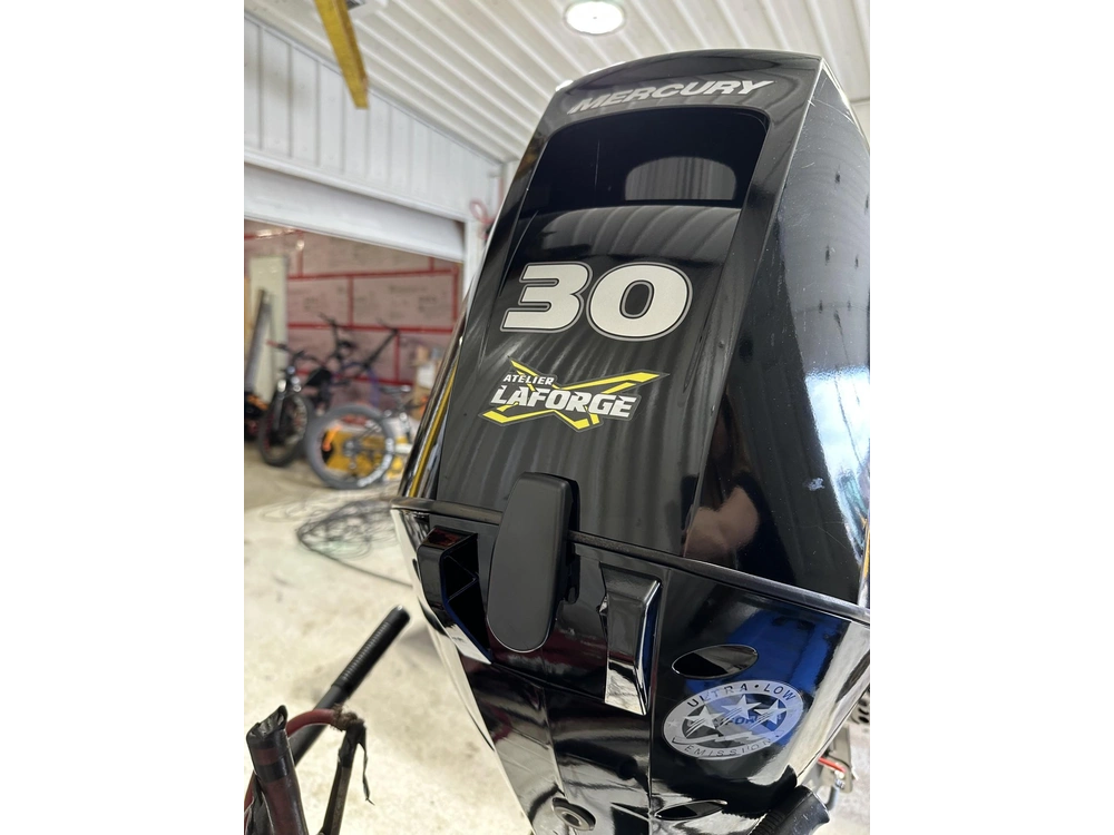 2023 Mercury 30 Hp alt