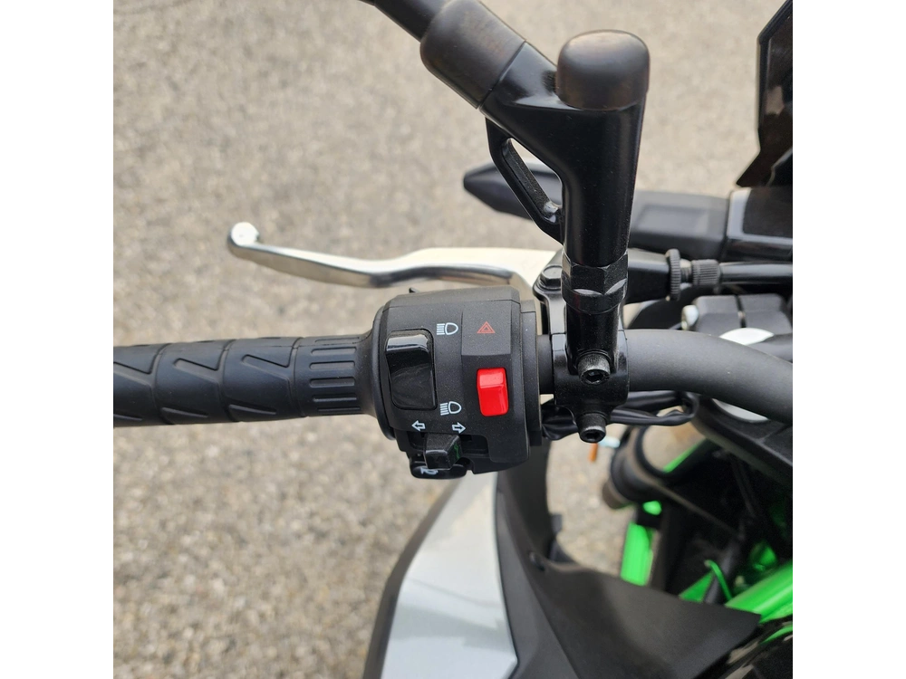 2025 Kawasaki Z500 Se alt