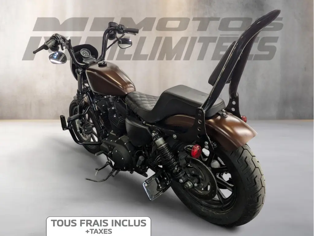 2019 Harley-Davidson XL1200NS Sportster Iron
