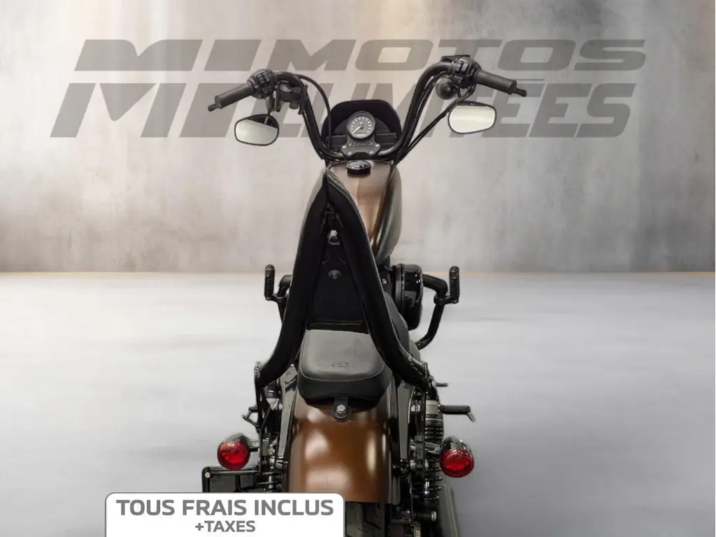 2019 Harley-Davidson XL1200NS Sportster Iron