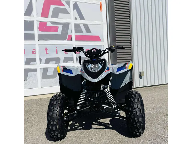 2025 Polaris PHOENIX 200 A25YPA20A4