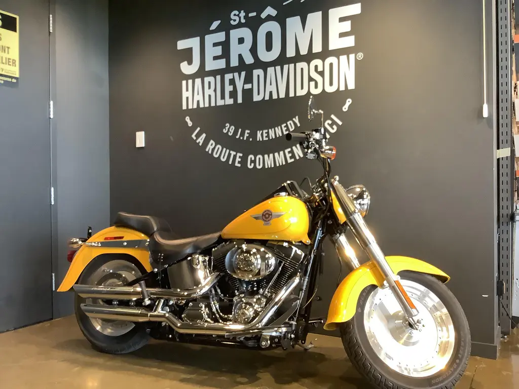 2006 Harley-Davidson FAT BOY FLSBF