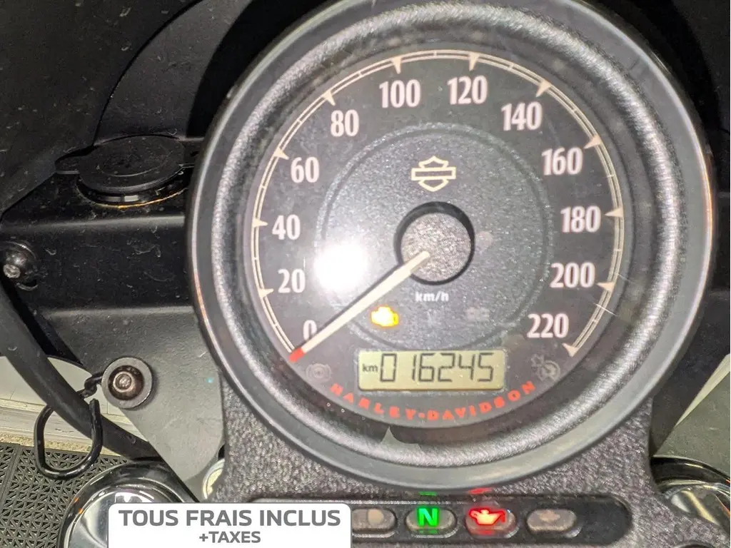 2019 Harley-Davidson XL1200NS Sportster Iron