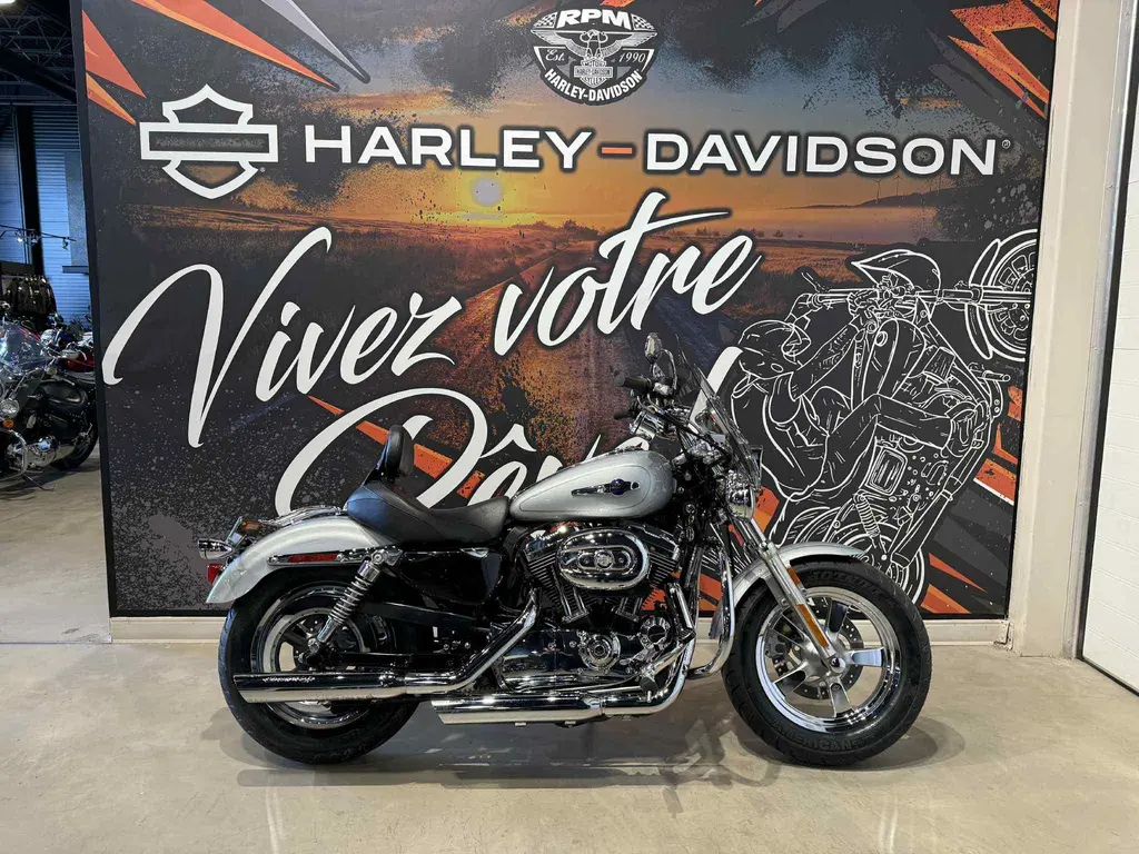 2011 Harley-Davidson 1200 Custom